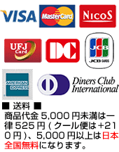 VISA/MASTER/NICOS/UFJ������/DC������/JCB/AMEX������/Diners������