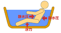 ���᤬�Τ�Ϳ�������
