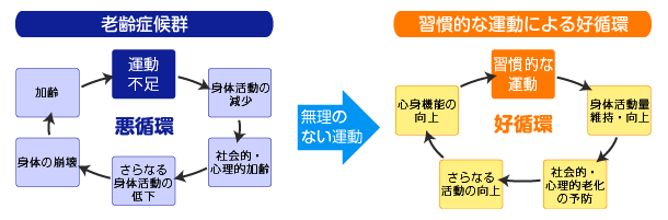 習慣的な運動で、身体的・心理的・社会的な老化の予防を!