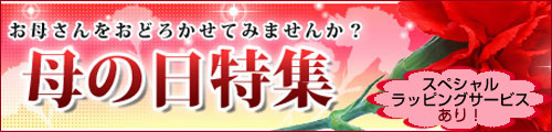 母の日特集