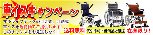 車イスキャンペーン